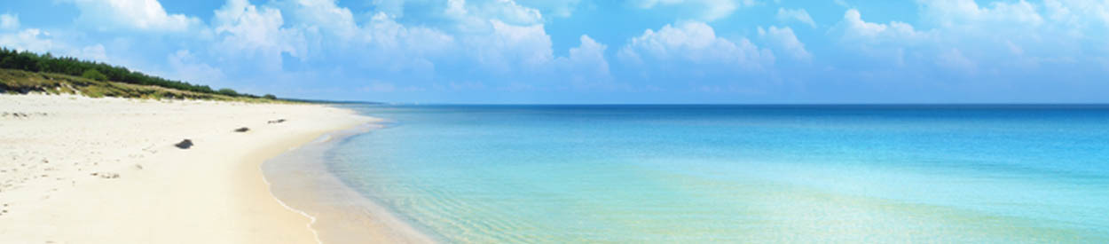 Beach Day - Monday September 15